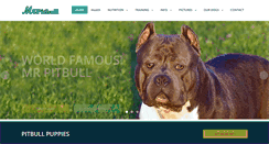 Desktop Screenshot of mrpitbull.com