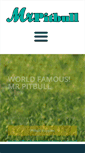 Mobile Screenshot of mrpitbull.com